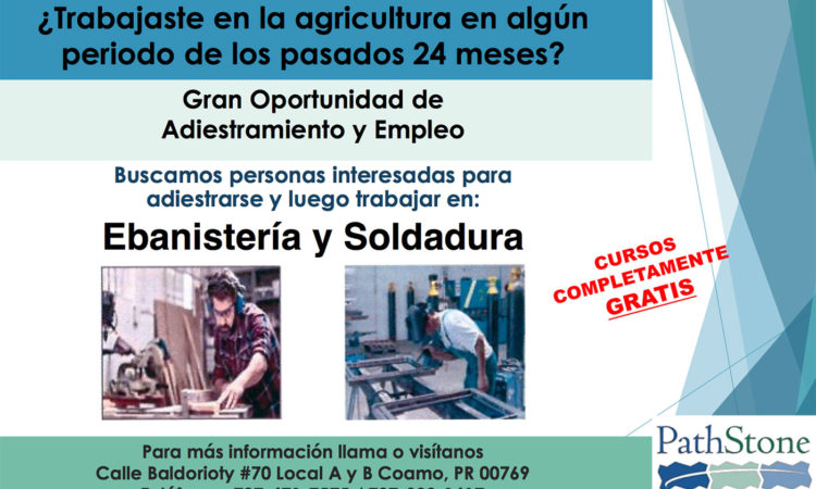 Gran adiestramiento de Adiestramiento y Empleo: Ebanistería y Soldadura