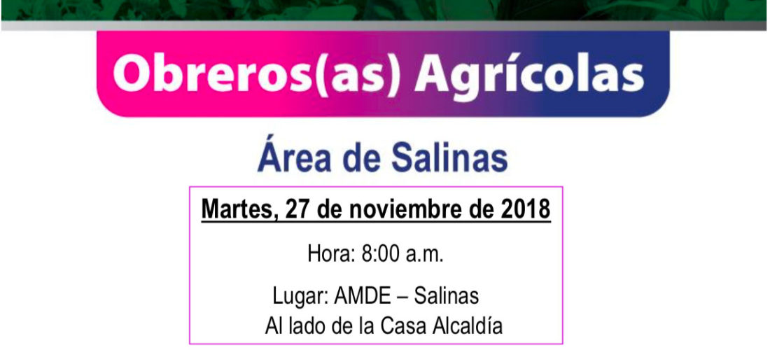 Oportunidad de Empleo, Obreros(as) Agrícolas Área de Salinas