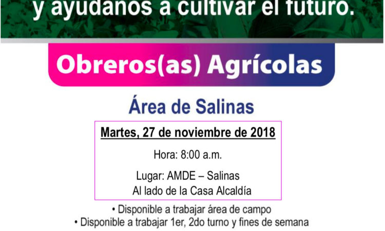 Oportunidad de Empleo, Obreros(as) Agrícolas Área de Salinas