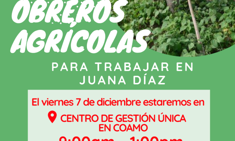 Oportunidad de Empleo, Obreros(as) Agrícolas para trabajar en Juana Díaz