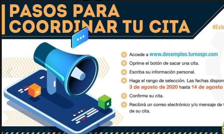 Procedimiento para acceder a los servicios de : miturno.desempleopr.com