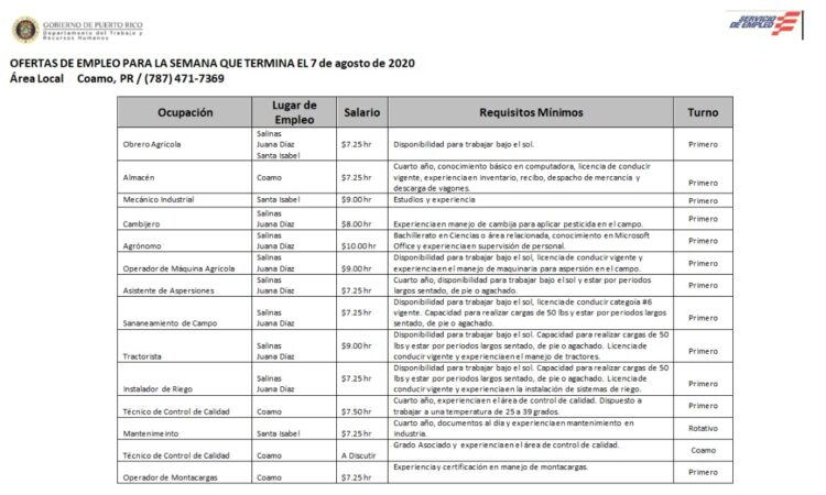 Empleos: Hasta 7 agosto 2020