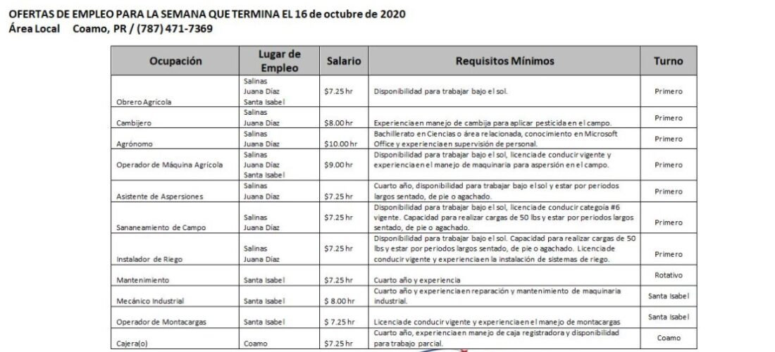 Empleos: Hasta 16 de octubre 2020