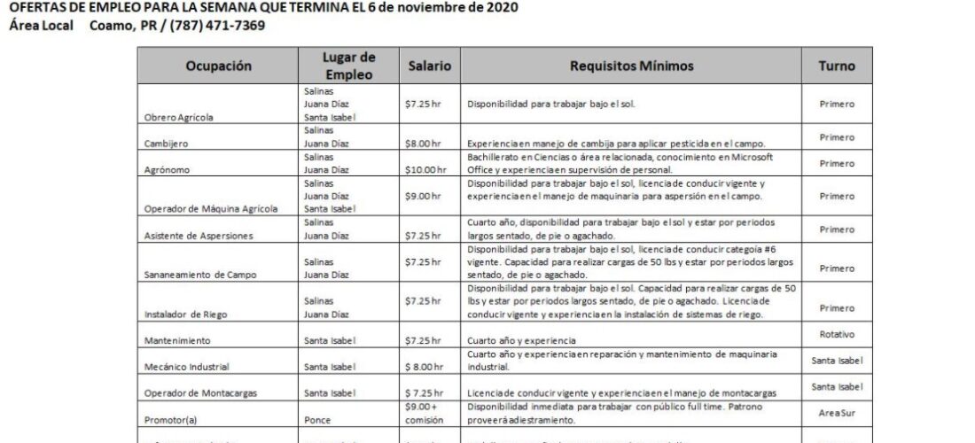 Empleos: Hasta 6 de Nov. 2020