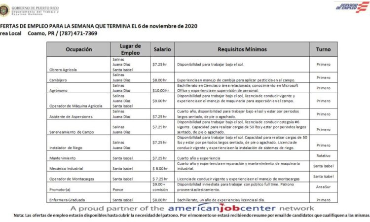 Empleos: Hasta 6 de Nov. 2020